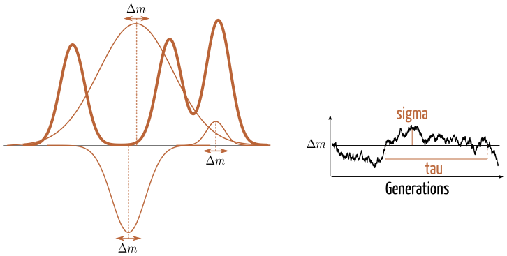 Environmental variation